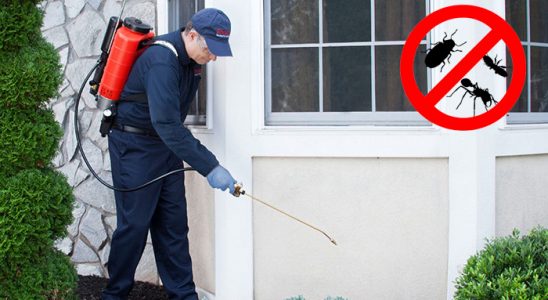 Gönen Hamam Böceği İlaçlama böcek ilaçlama ve haşere kontrolü — ilaclama-tr.com